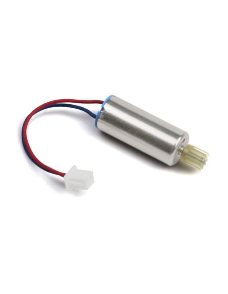 Motor w- Pinion