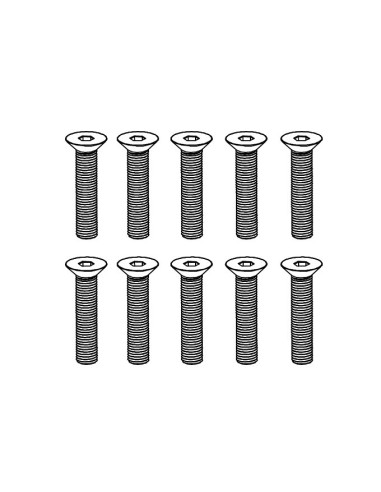 Flat Head Hex Screw M4*20 (10)