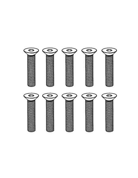 Flat Head Hex Screw M4*20 (10)