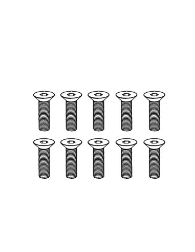 Flat Head Hex Screw M4*14 (10)