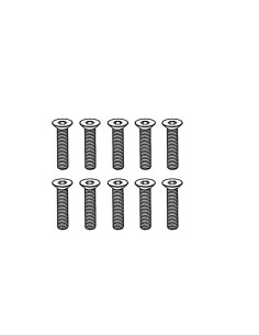 Flat Head Hex Screw M3*14 (10)
