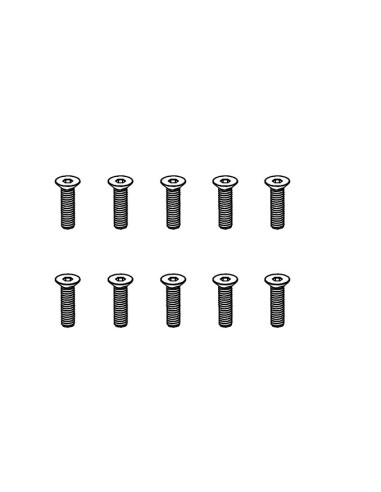 Flat Head Hex Screw M2.5*10 (10)