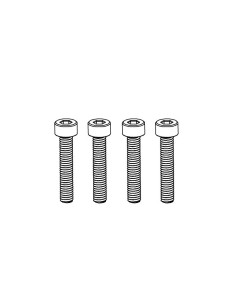 Cup Head Hex Screw M3*22 (10)