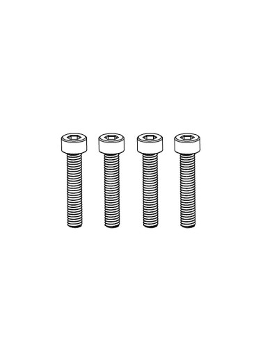 Cup Head Hex Screw M3*22 (10)