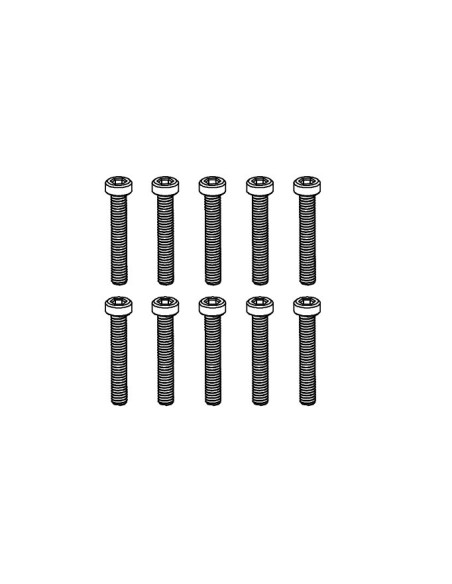 Cup Head Hex Screw M2.5*16 (10)