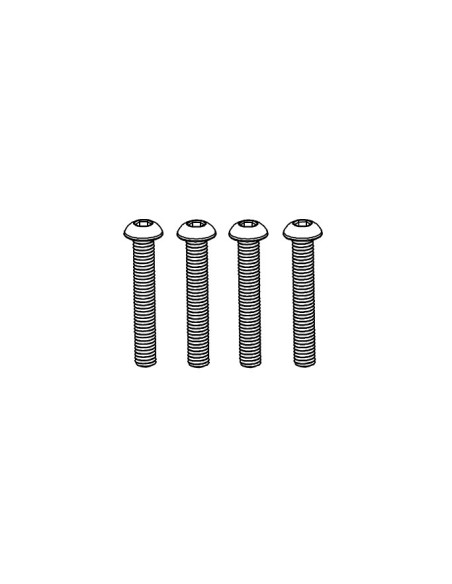 Pan Head Hex Screw M3*20 (10)