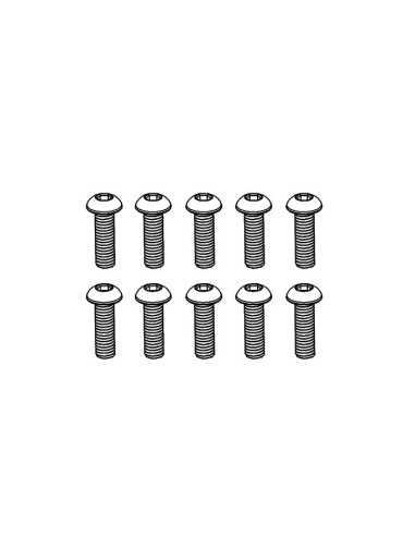 Pan Head Hex Screw M3*10 (10)