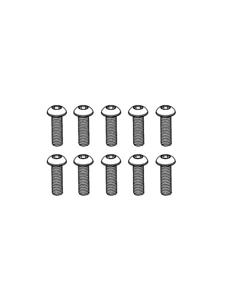 Pan Head Hex Screw M3*10 (10)