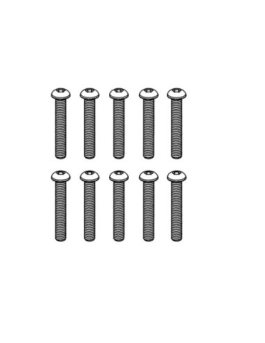 Pan Head Hex Screw M2.5*16 (10)
