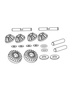 Differential Bevel Gears