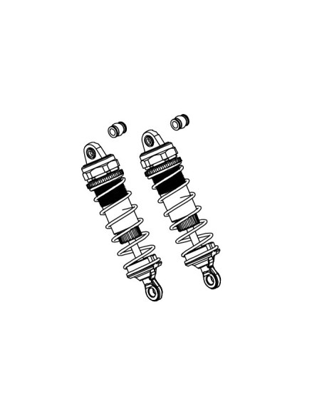 Shock Absorber (2)