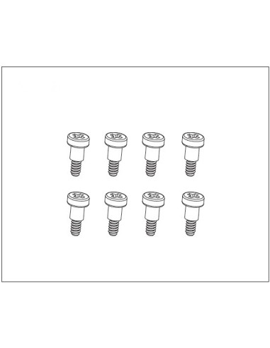 Steering Step Screw (8)