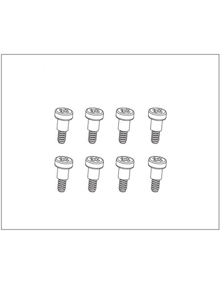 Steering Step Screw (8)