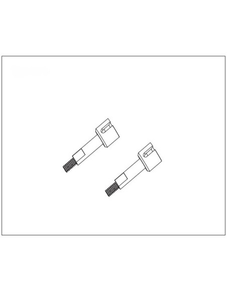 Rear Wheel Axle Cup (2)