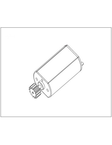 Motor