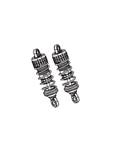 Rear Shock Absorber (2)