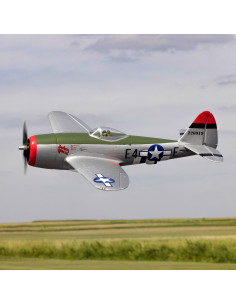 E-flite Micro P-47...