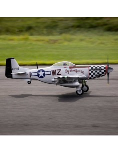 E-flite P-51D Mustang "Big...