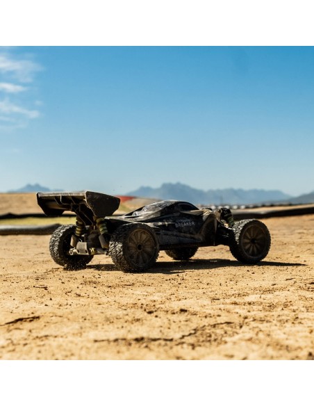 Rlaarlo Storm Breaker 1-10 Carbon Fiber Brushless RTR 4WD Buggy | SBK10
