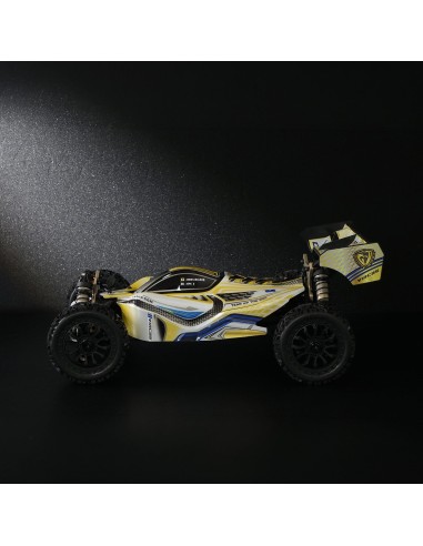 1-8 4WD Brushless RTR Buggy Dragon Scale Knight...