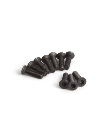 Flat Head Screw M2x8mm (Hex Socket-10pcs)