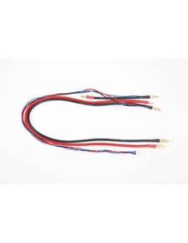 Cable de carga G4 con conector balance (0,5 m)