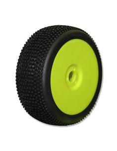 Ruedas ProCircuit HOT DICES...