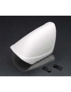 Cabina del avión Easystar...