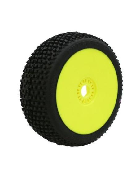 Ruedas ProCircuit MARATHON TT "World Edition" SUPER BLANDAS (2)