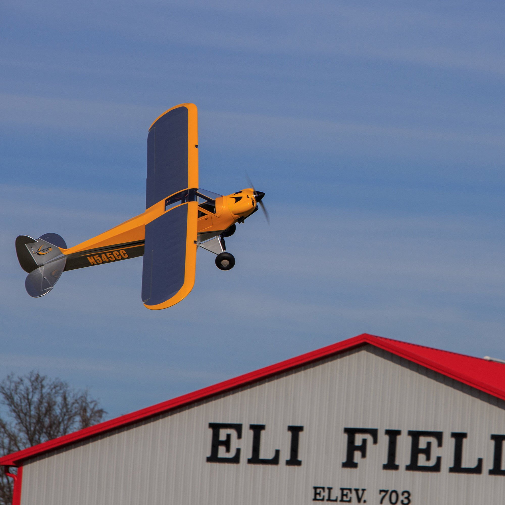 Carbon Cub 15cc ARF  90"